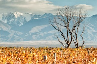 Climate2