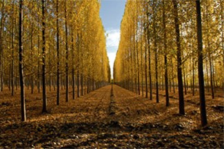 Climate4